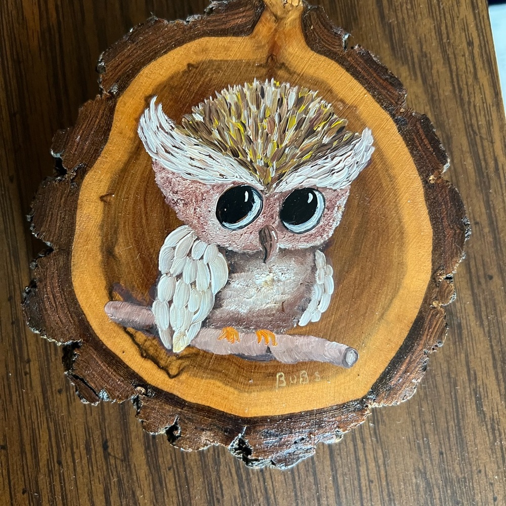 Vintage 1970’s Whimsical Brown and White Owl Painting on Wood